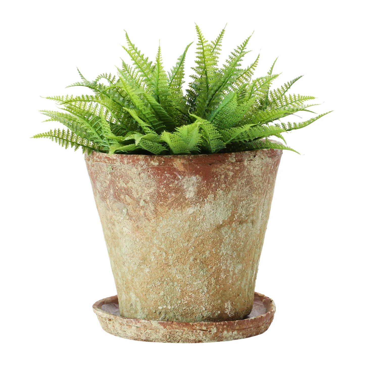Large Distressed Cement Planter with Saucer