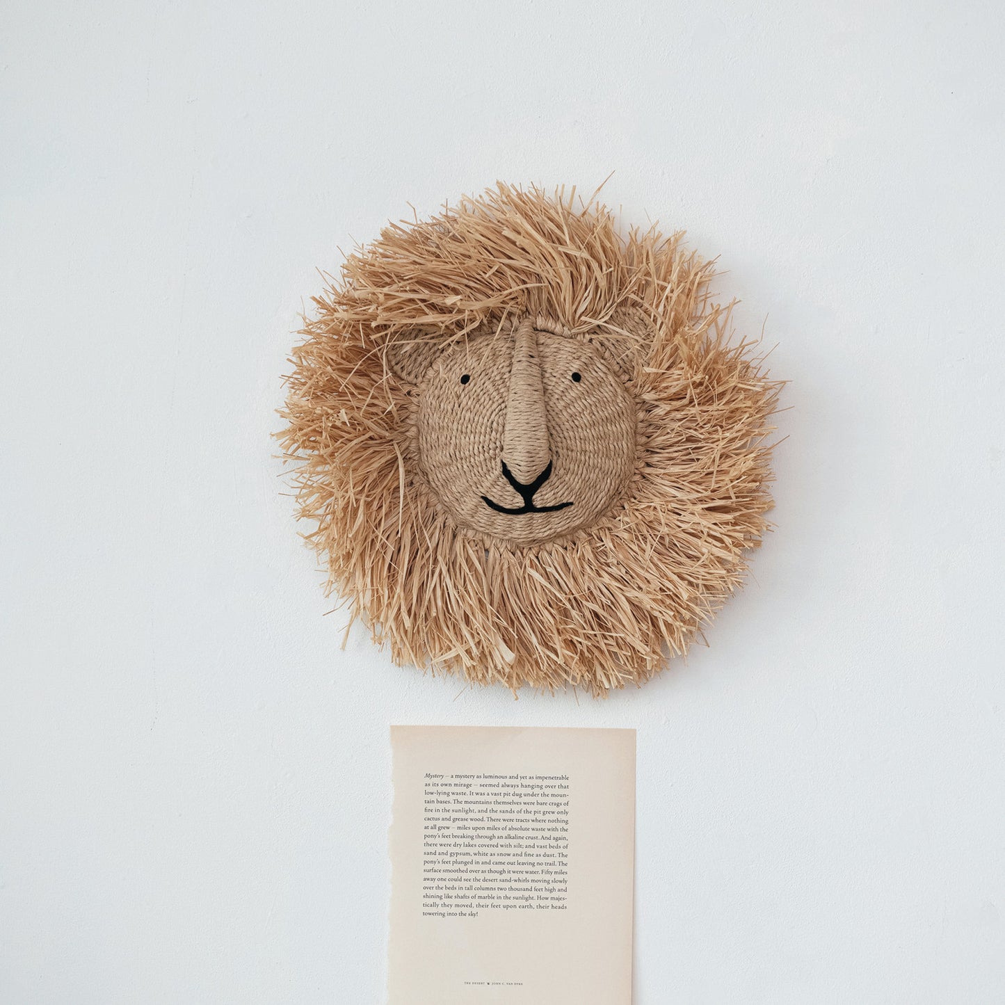 Paper Rope and Dried Raffia Lion Head Wall Decor