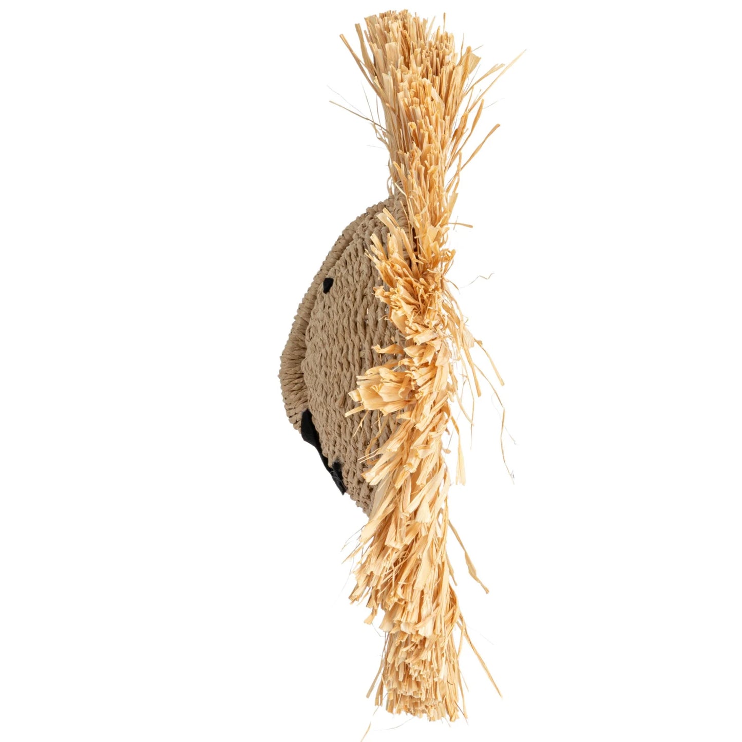 Paper Rope and Dried Raffia Lion Head Wall Decor