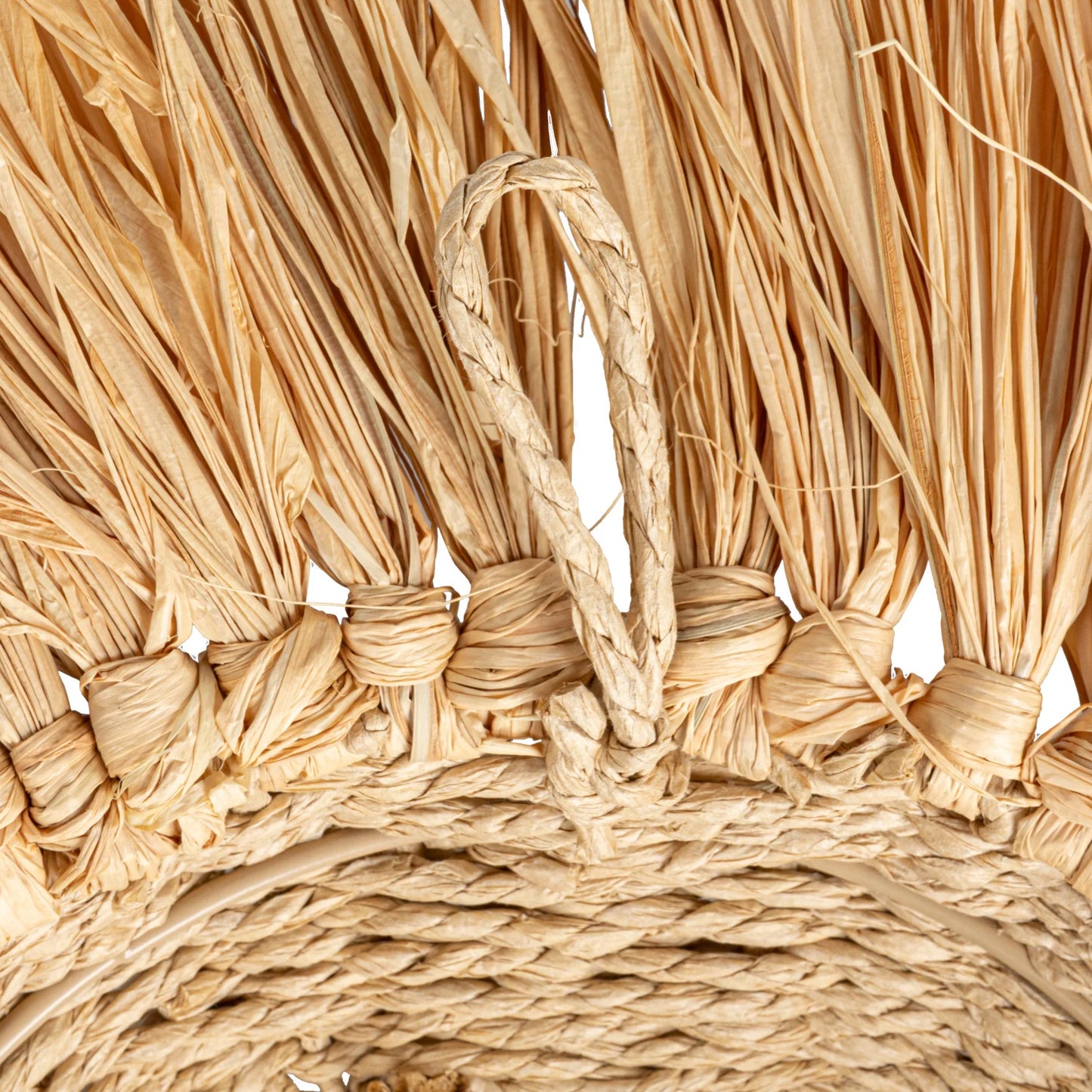 Paper Rope and Dried Raffia Lion Head Wall Decor