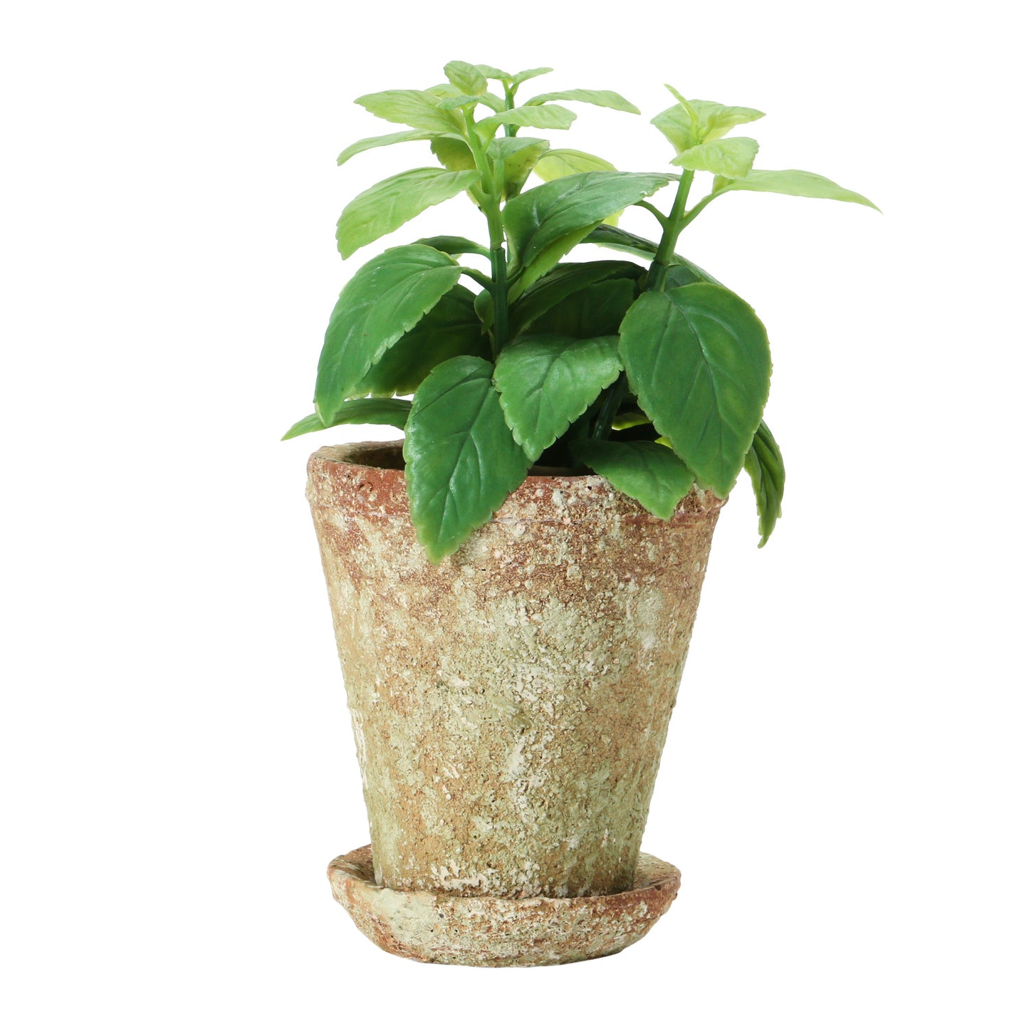 Small Distressed Cement Planter with Saucer