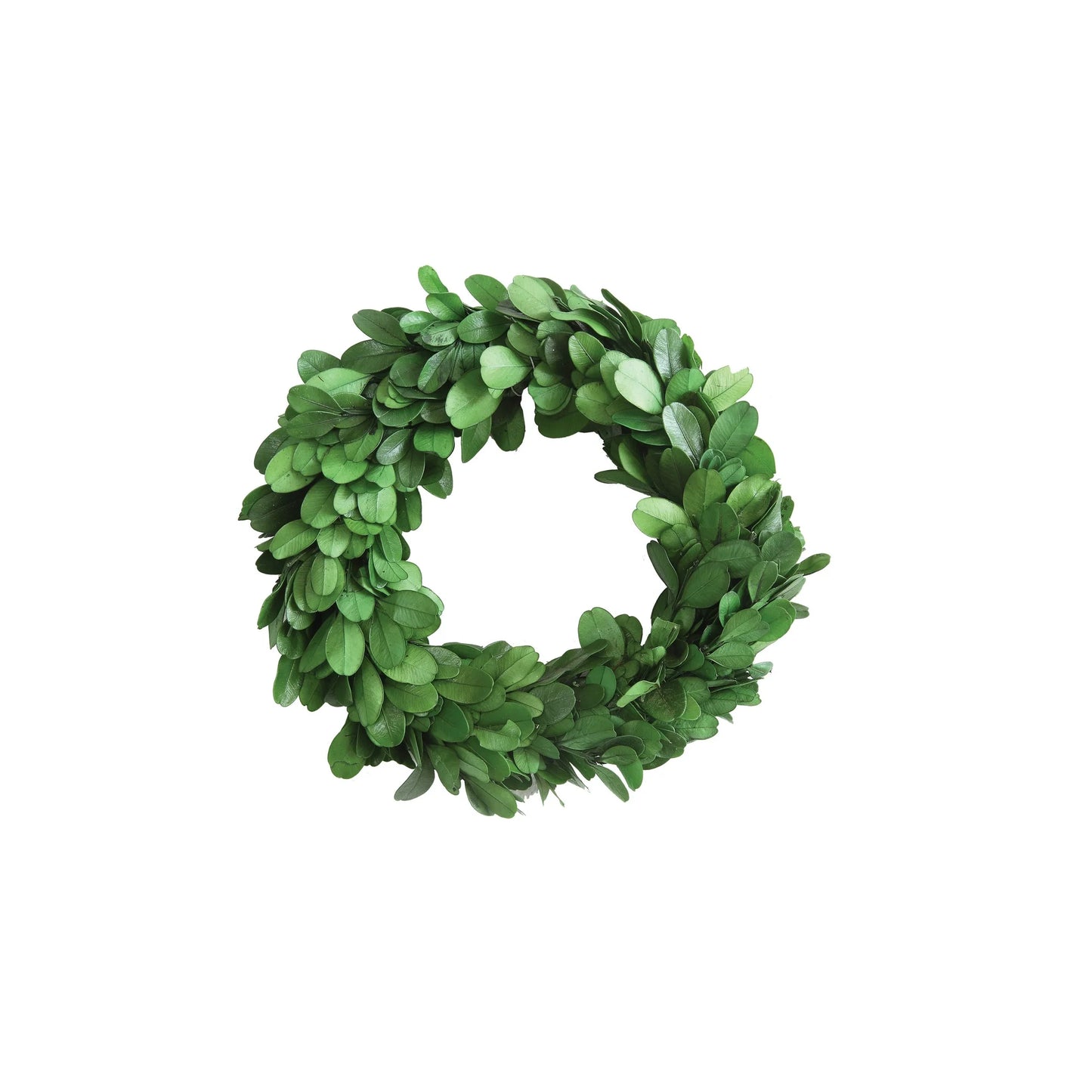 6" Round Preserved Boxwood Wreath
