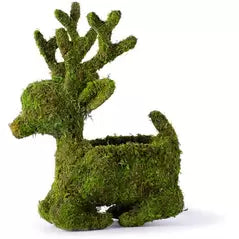 Reindeer Deco Sitting 6" Planter
