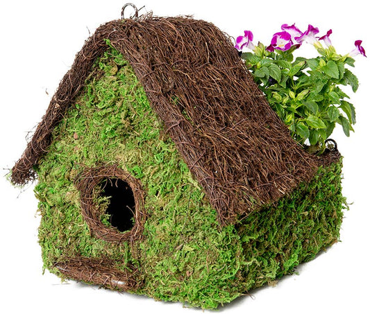 Plantable Maison Birdhouse