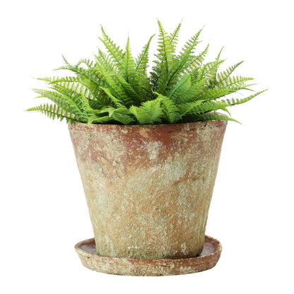 Large Distressed Cement Planter with Saucer