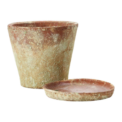 Large Distressed Cement Planter with Saucer
