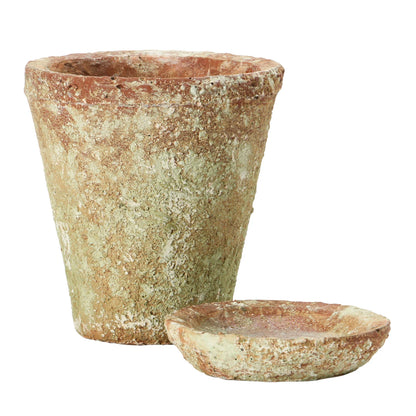 Small Distressed Cement Planter with Saucer