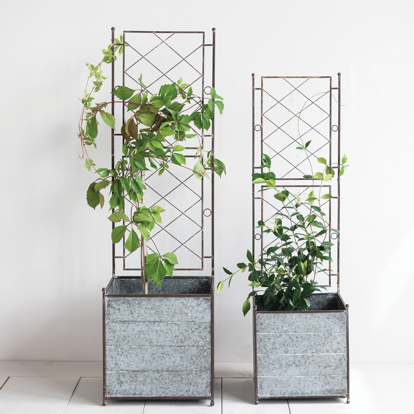 Galvanized Metal Planters with TrellisTre